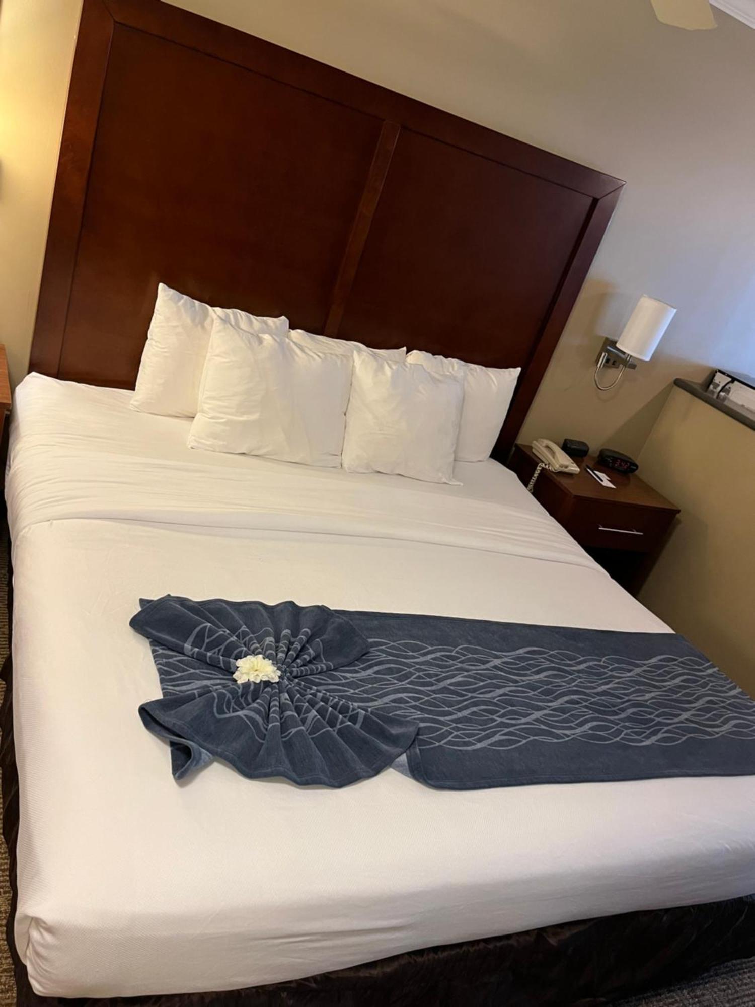Comfort Inn & Suites Ocean Shores Bagian luar foto